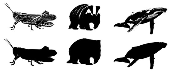 set of silhouettes of animals
