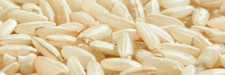 Close-up of uncooked white rice grains with detailed texture and natural light.