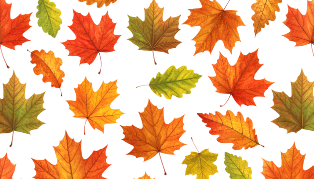 Seamless pattern of autumn leaves with transparent background