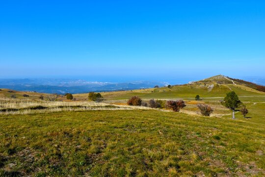 Meadow with trees at Slavnik hill in Primorska, Slovenia
