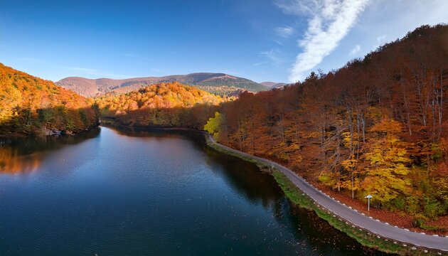 Autumn Scenery Along The Forest Park Road Seven Lakes Turkish Yedigoller National Park Bolu Province Turkey