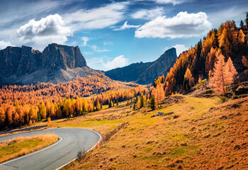 Colorful autumn scene of Giau pass, province of Belluno in Italy, Europe. Sunny afternoon view of Dolomite Alps with larch trees forest and huge peaks. Beauty of nature concept background.