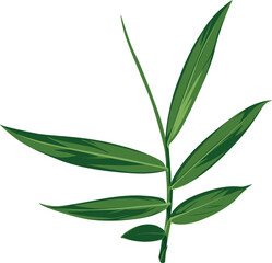 Illustration of a vibrant green plant stem with several elongated leaves branching out, set against a clean white background.