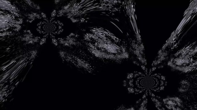 black and white background with butterflies