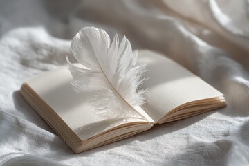 White feather on open blank notebook, bathed in soft natural light.