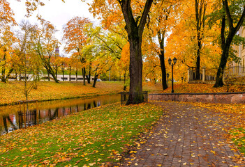Late autumn in old city park, overcast day