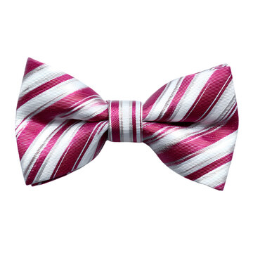 Striped White and pink tie bow isolated on transparent background