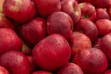 Massive Pile of Freshly Harvested Apples. Abundance of Red Apples in the garden. 