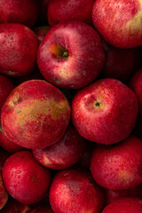 Massive Pile of Freshly Harvested Apples. Abundance of Red Apples in the garden. 