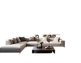 modern living room with sofa