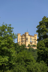 Explore the stunning views of Hohenschwangau castle in the German Alps surrounded by lush green forests under a bright blue sky