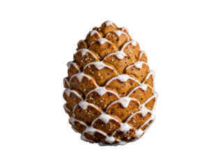 
clear
Sosnovaya shishka iz pryanika s glazur'yu, izolirovannaya na prozrachnom fone


70 / 5 000
Результаты перевода
Перевод
Gingerbread pine cone with icing isolated on transparent background