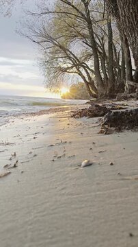 Beautiful landscape of the seashore at sunset