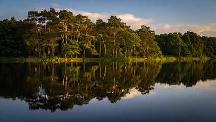 Obraz premium Golden hour light illuminates a peaceful forest perfectly reflected in a calm lake.