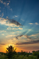 Picturesque sunrise and dawn over a meadow with trees and green grass. Rays of light in the clouds in the sky. Nature in a non-urban environment