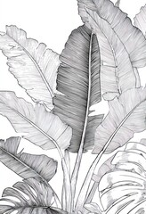 Detailed line art illustration of tropical leaves in grayscale, showcasing intricate patterns and textures.