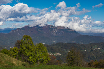 Autumn Foliage on Sentiero dei Grandi Alberi Trail in a pine forest in the Italian Prealps and small Dolomites