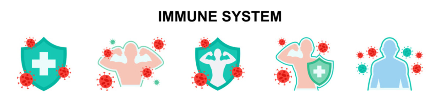 Immune System Icon Flat Style. health, immune system, shield, resistance, protect, strong, defense, immunity, immune, Virus Protection