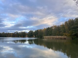 A peaceful autumn panorama showing the reflection of soft clouds in a calm lake surrounded by...