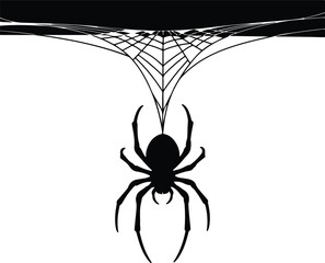 Silhouette of spider hanging from web on white background vector illustration