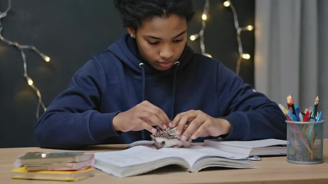 Young student studying with a pet hedgehog on a desk