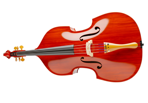 Elegant upright bass isolated on transparent background showcases its intricate design