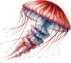 Vector watercolor realistic illustration of a jellyfish © Mantella