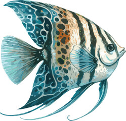 Vector watercolor illustration of an angelfish