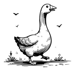 Standing goose sketch – hand‑drawn farm bird line art vector illustration of goose in meadow