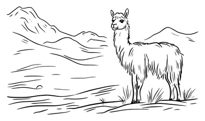 Naklejka premium Llama in Andean mountain landscape – hand‑drawn vector illustration of alpaca standing in highland scenery