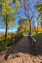 Fototapeta premium Golden yellow leaves blanket the park in Kyiv, Ukraine, glowing softly under the autumn light and creating a serene, fairy-tale atmosphere.