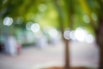 Park Scene Tranquil Park Day