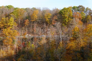 The main road covered with stunning and vibrant fall colors near Chittenango Falls State Park, Madison County, New York, U.S