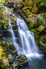 Scenic View of Carter Falls in summer