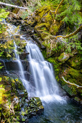 Scenic View of Carter Falls in summer