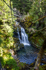 Scenic View of Carter Falls in summer