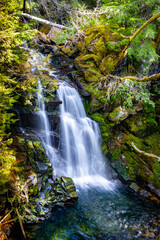 Scenic View of Carter Falls in summer