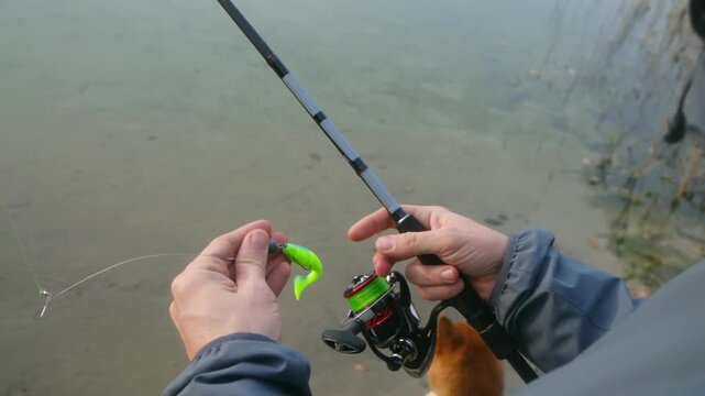 Angler hands preparing for fishing by rigging bright green soft plastic swimbait lure onto hook of spinning rod with reel over clear water of lake. Fisherman attaching soft plastic lure to fishing rod