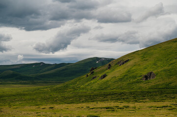 A green plateau in the middle of the Altai mountains in sunny summer weather, Russia