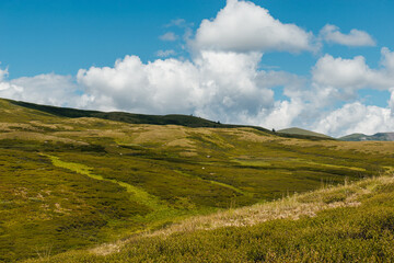 Obraz premium A green plateau in the middle of the Altai mountains in sunny summer weather, Russia