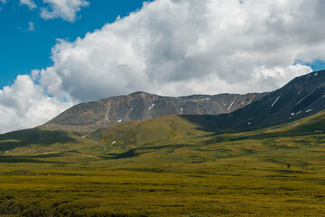 A green plateau in the middle of the Altai mountains in sunny summer weather, Russia