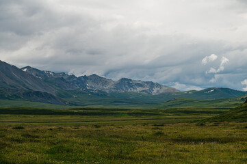 Obraz premium A green plateau in the middle of the Altai mountains in sunny summer weather, Russia