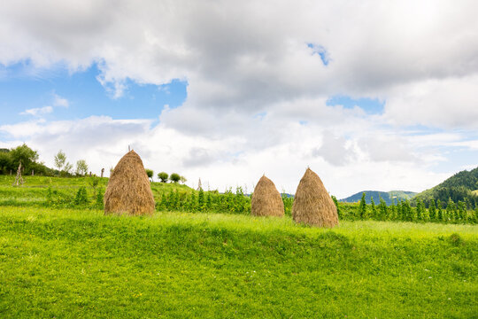 rural landscape in mountains. haystack on the field near the forest. summer day with cloudy sky
