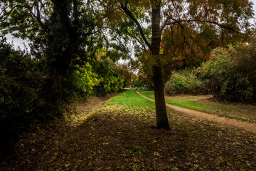 footpath in the park