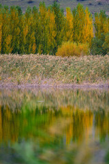 Lisi lake, small lake and popular recreation area in the vicinity of Tbilisi, Georgia