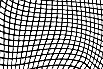 Curved black grid lines forming a distorted mesh pattern on a transparent background.