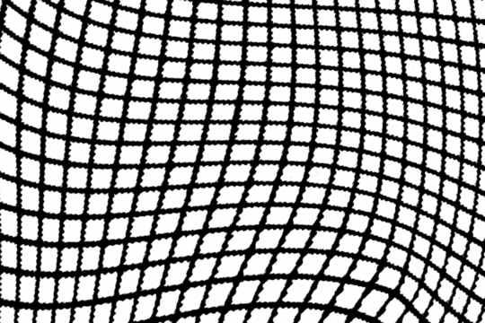 Curved black grid lines forming a distorted mesh pattern on a transparent background.