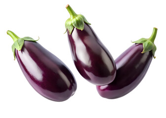  eggplants isolated on transparent white background full depth of field clipping path