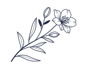 Elegant floral vector illustration with blooming flower buds and delicate leaves for botanical designs and creative projects showcasing natural beauty