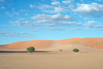 desert sand dunes  Sossusvlei, Namibia